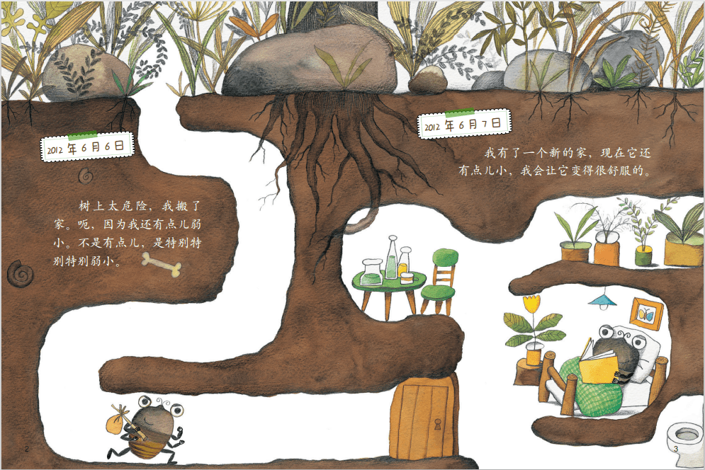 绘本阅读丨我的日记系列蝉的日记