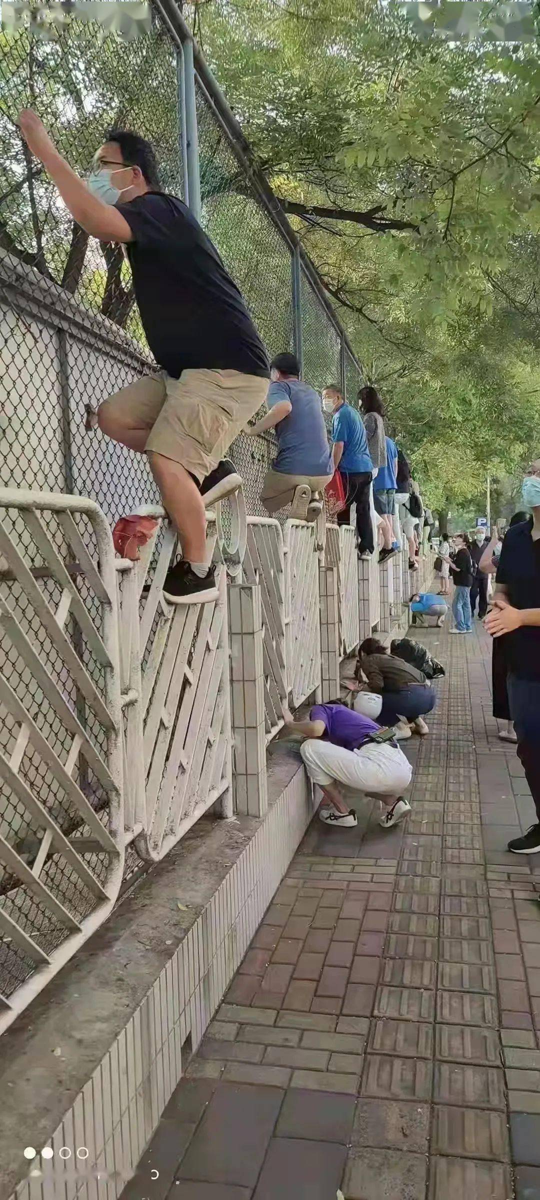 今天张美玉要在全国出名了