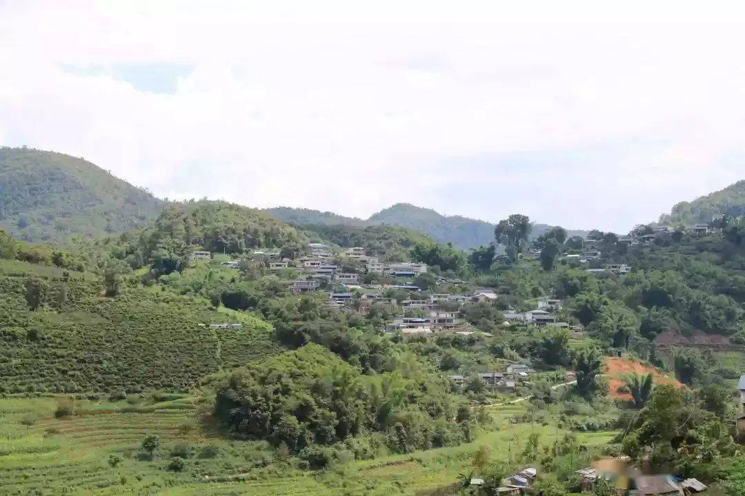 永安市西洋镇蚌口村图片