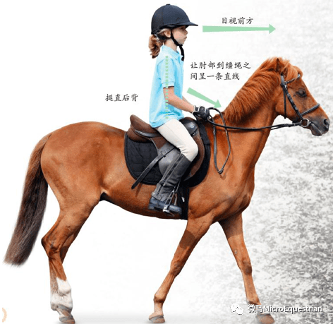 儿童马术入门第一课——全世界学骑马的孩子必读_搜狐汽车_搜狐网
