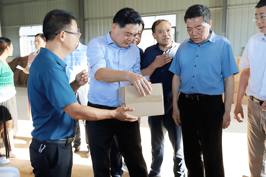 谭业明赴当阳调研