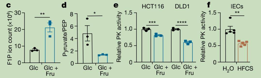 长度|奶茶催人胖：果糖使肠道绒毛增长40%，促进营养吸收