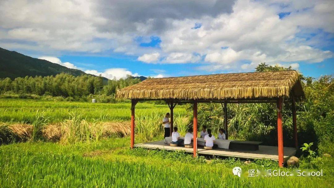 国庆亲子徽州耕读传家营在徽州斑斓田野中收获文化的果实