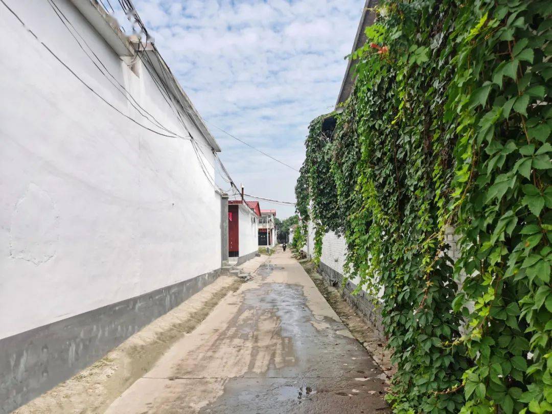 【赞皇镇】农村旧貌换新颜系列之四 走近石家庄村