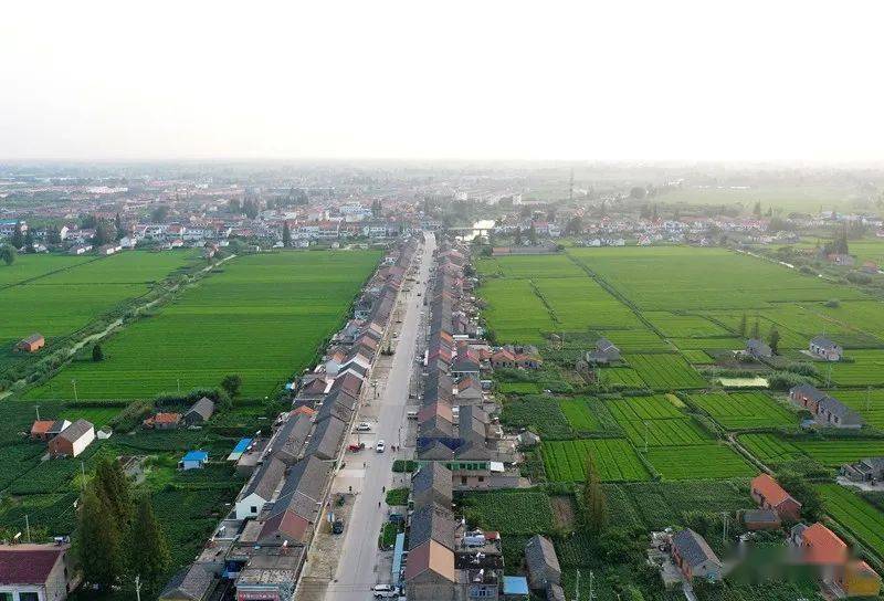 阜宁县有多少人口_国庆征文 原色土 阜宁走笔(2)