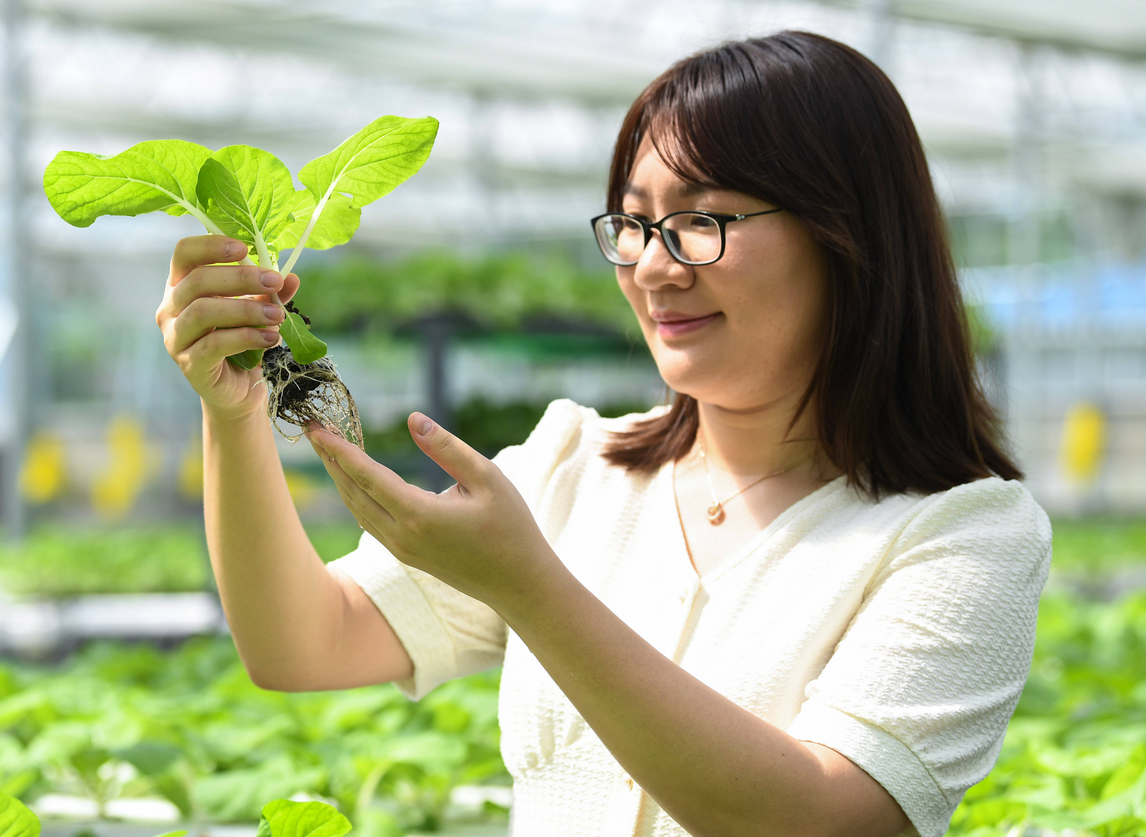 在广东江门开平市国家现代农业示范区内,谭慧敏在鱼菜共生生产基地