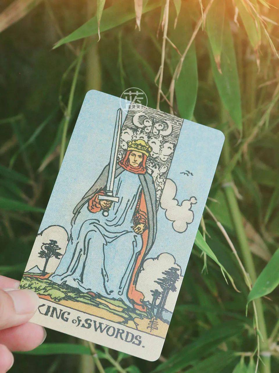 感情运势提前知09040910一周感情运势有时候爱情就在身旁而不在远方