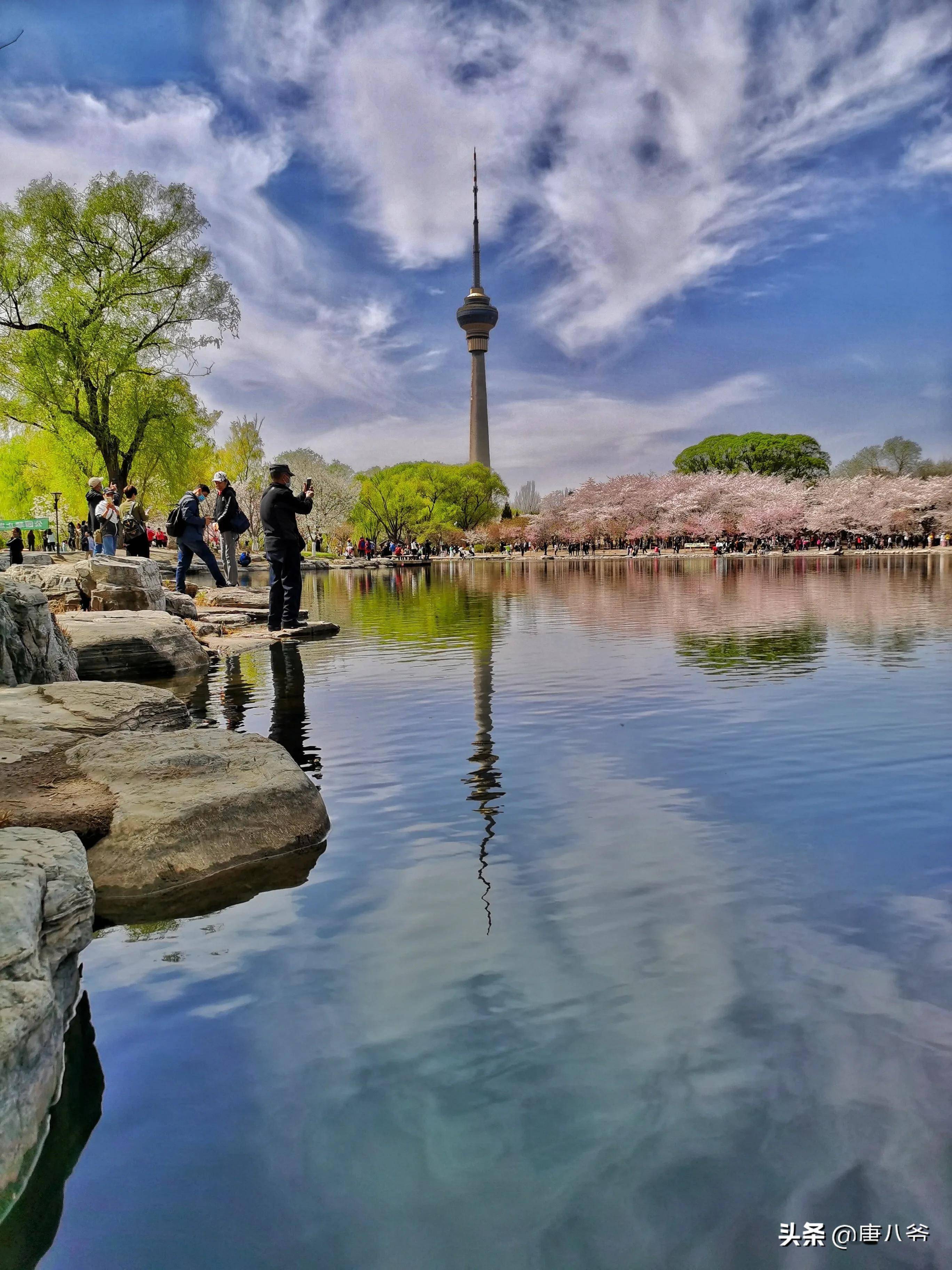 北京玉渊潭公园景色宜人公园的景色很美丽