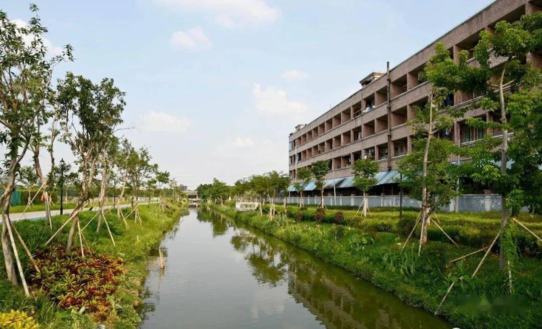 休闲好去处东莞石碣镇梁家村渠碧道建成赶紧去打卡