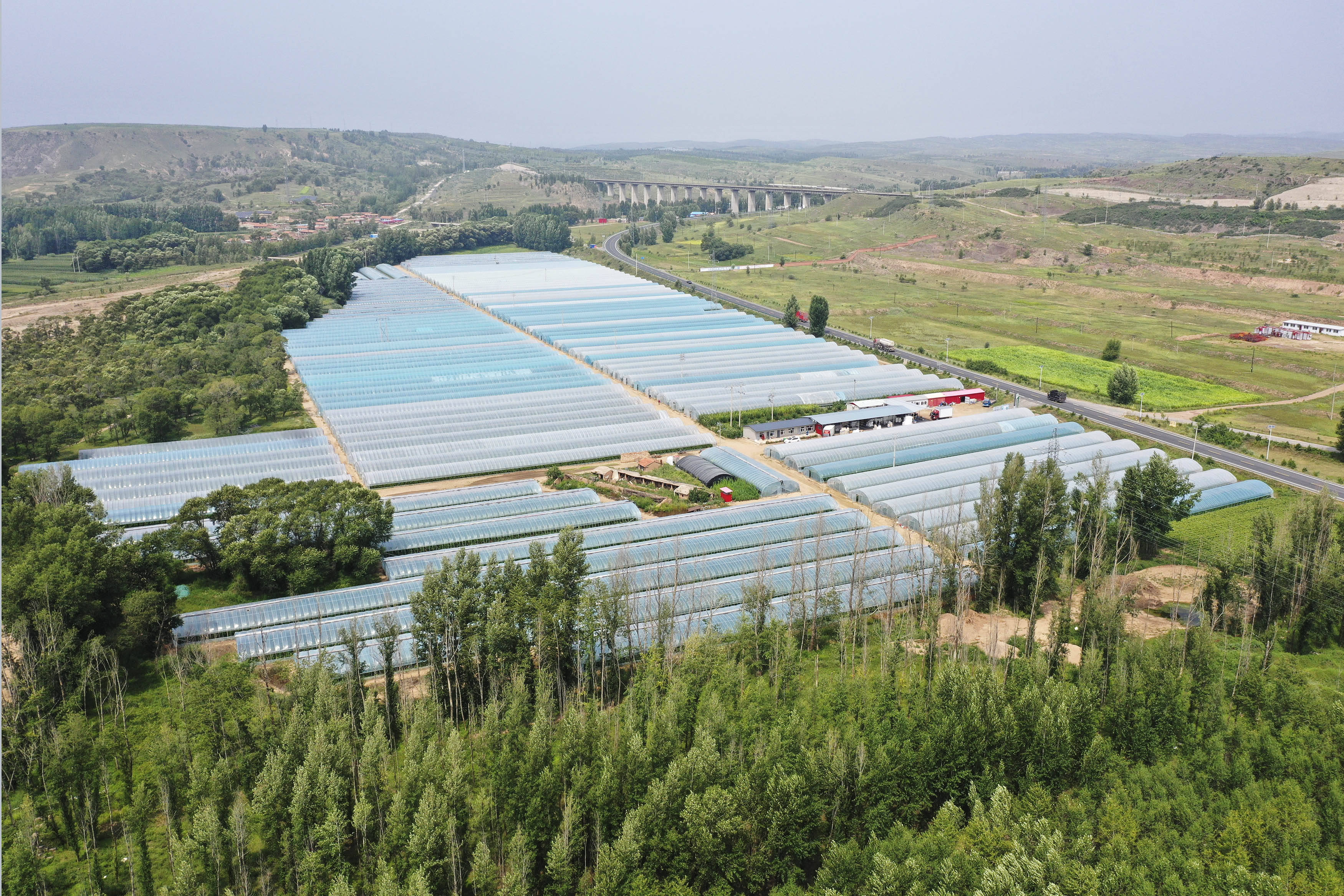 河北尚义:发展设施农业 助力乡村振兴
