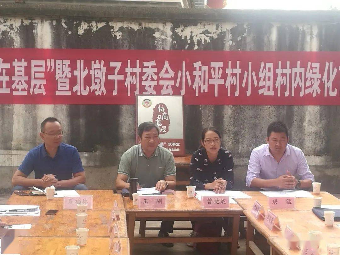 【协商在基层】县政协就小和平村绿化苗木义务管护进行协商