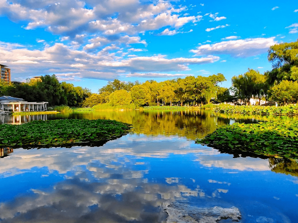 咔嚓咔嚓!这些随手拍的海淀美景让人惊艳