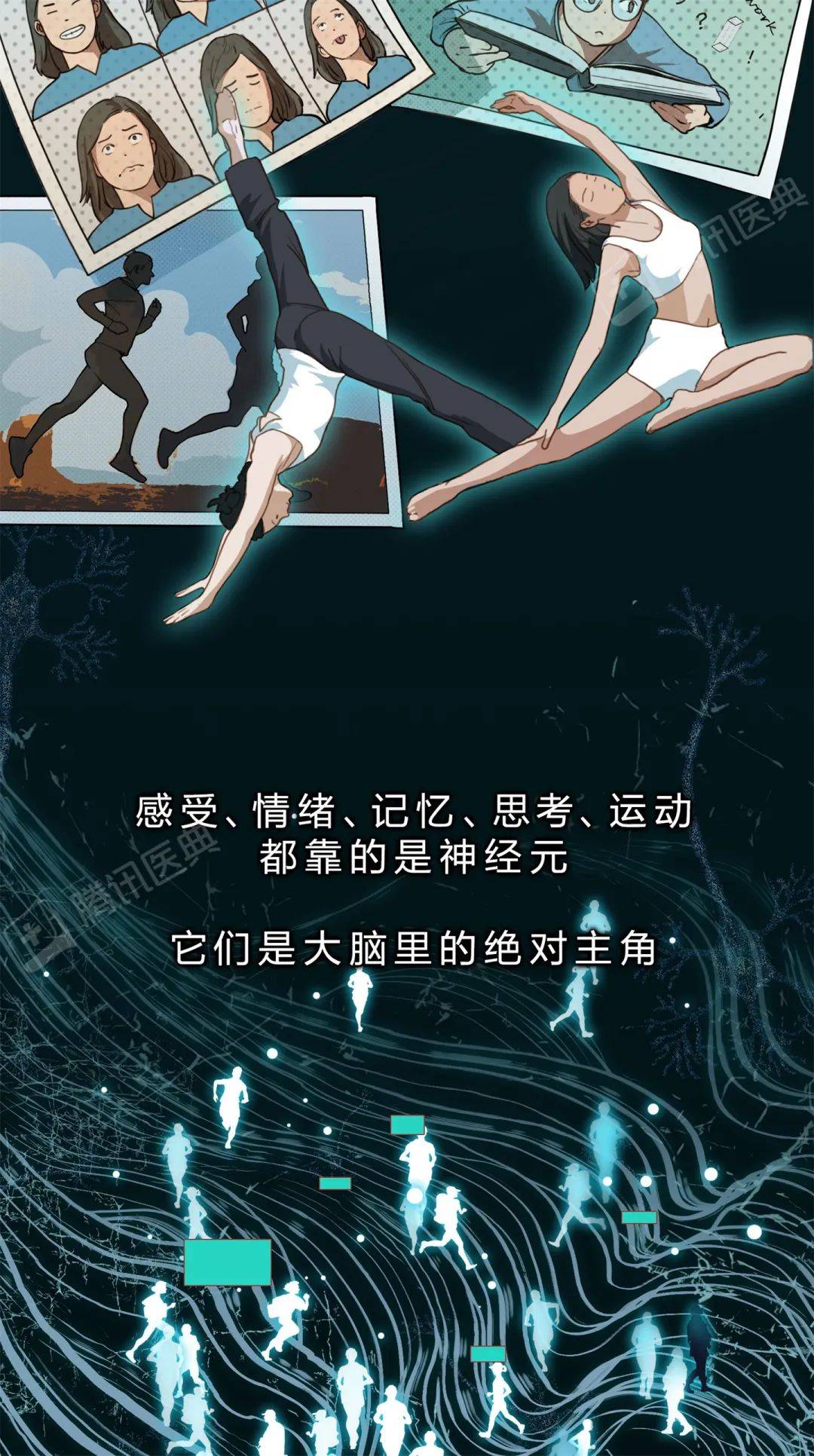醫典|大腦里被稱作“膠水”的細胞，關鍵時刻會“豁出命”救你