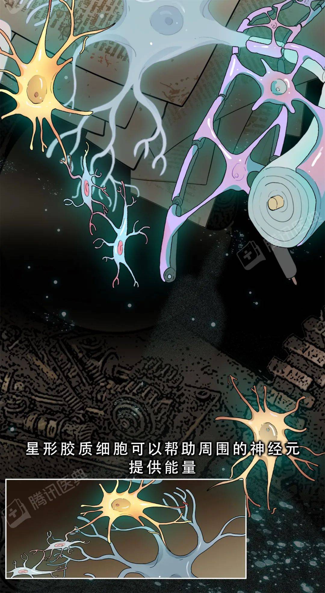 醫典|大腦里被稱作“膠水”的細胞，關鍵時刻會“豁出命”救你
