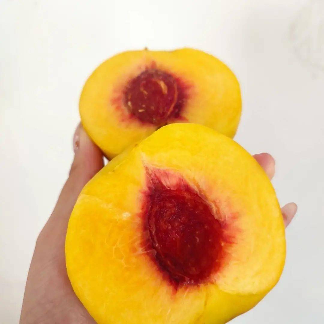 【礼盒·顺丰】"桃梨满天下"9·10教师节!师恩似海深!金黄后黄桃 秋月