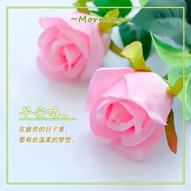 关于早安的动态图片 初秋早上好唯美图片_祝福