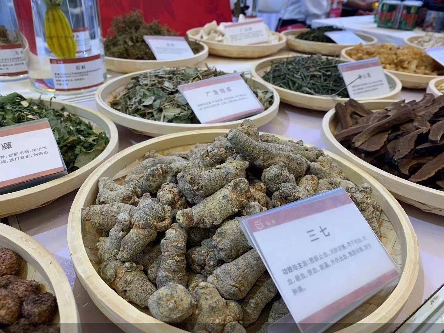 国际化|跨界合作、标准推进……中医药加速“出海”