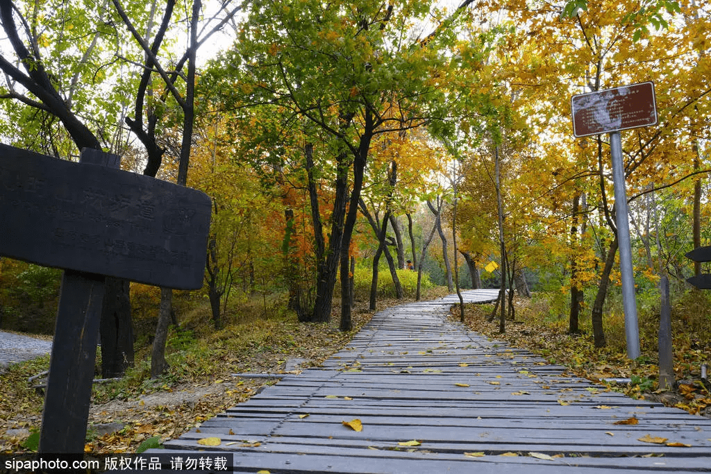 北京好玩的地方有哪些（北京有哪些好玩的旅游景点）