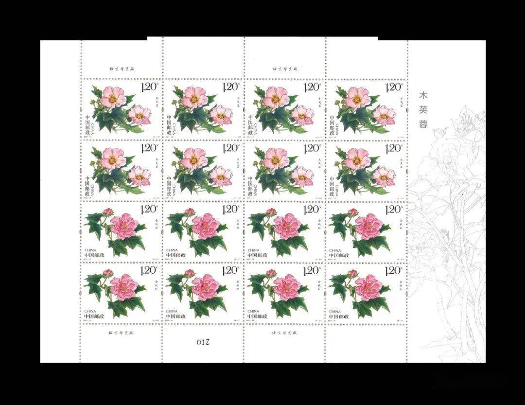 后天发行木芙蓉花特种邮票小版张官方视频动画展示