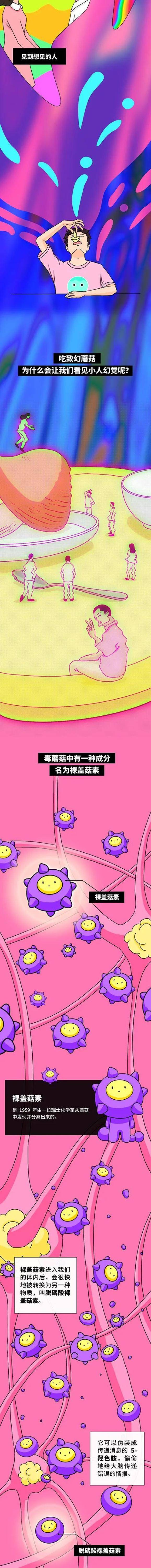 Schmidt|吃蘑菇中毒后，会看见什么？