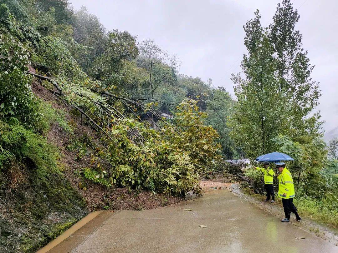 陕西安康人口碑怎么样_安康56748人受灾!多地交通中断!今晚大到暴雨