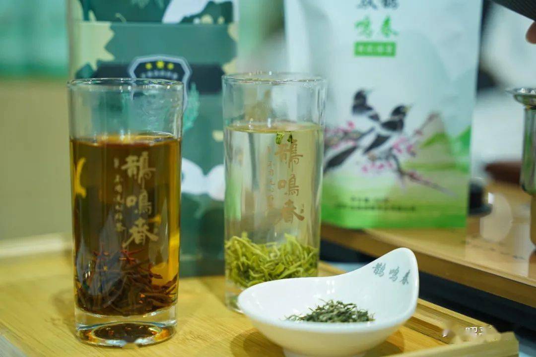 昭平茶亮相深圳茶博会