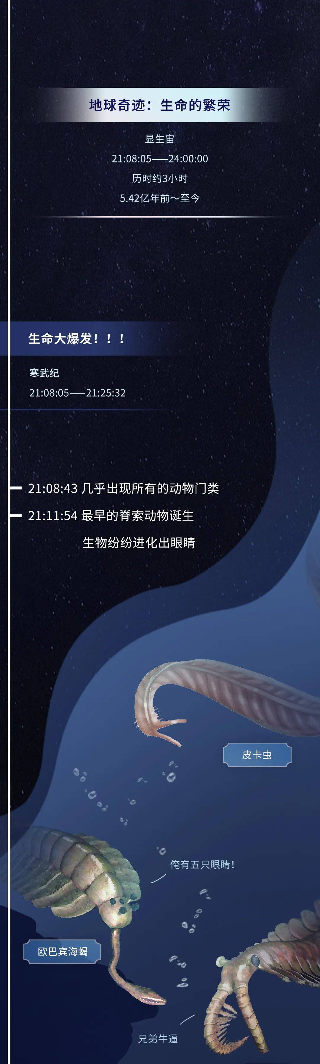 基因|如果把地球历史压缩成24小时会怎么样？