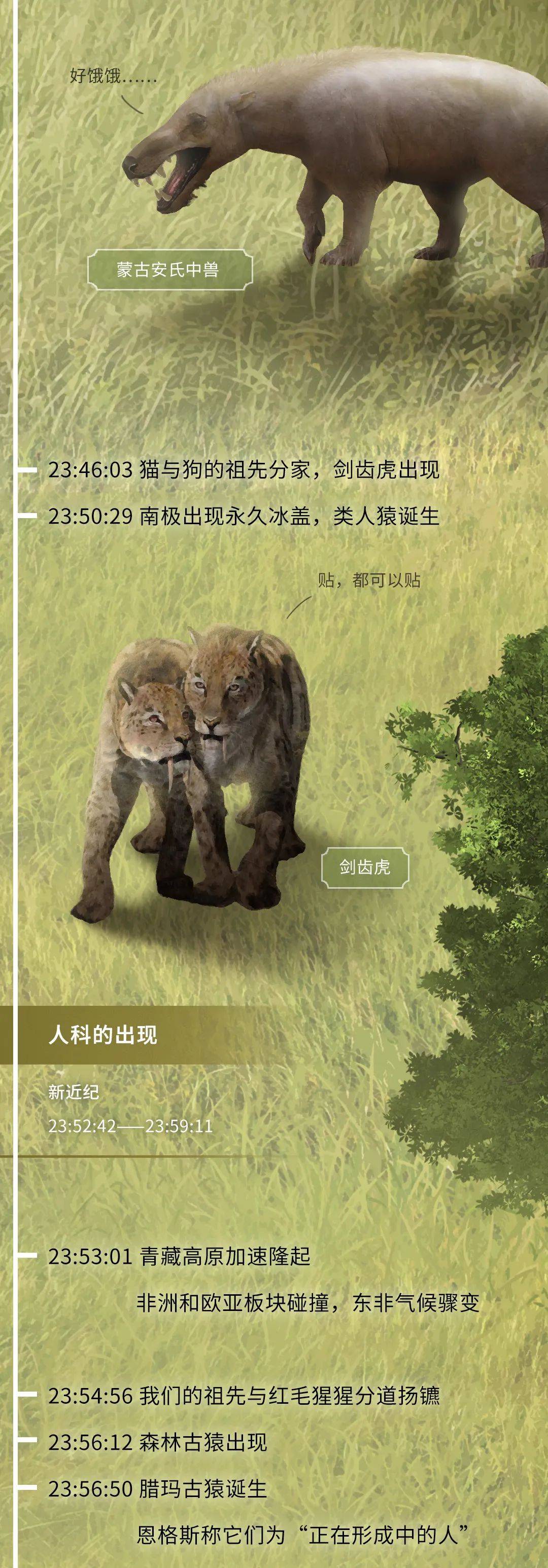 基因|如果把地球历史压缩成24小时会怎么样？