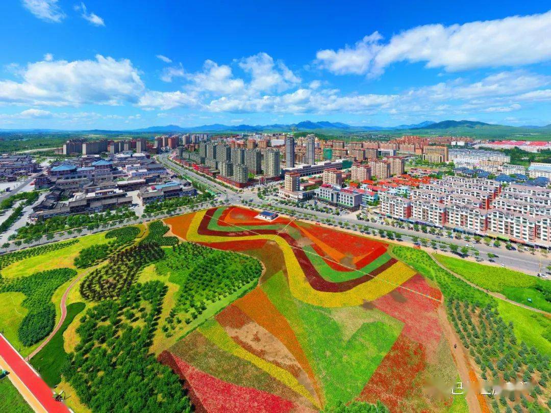 大美上京陶醉了左旗这片花海已美成秋天的童话