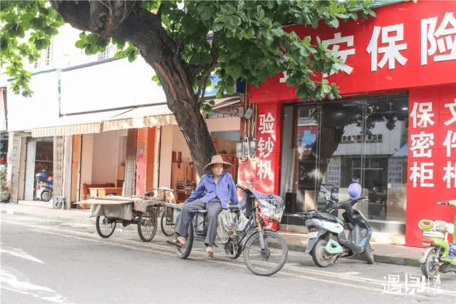 世界上最大的岛屿是什么岛（世界上最大的岛屿是什么岛脑筋急转弯）