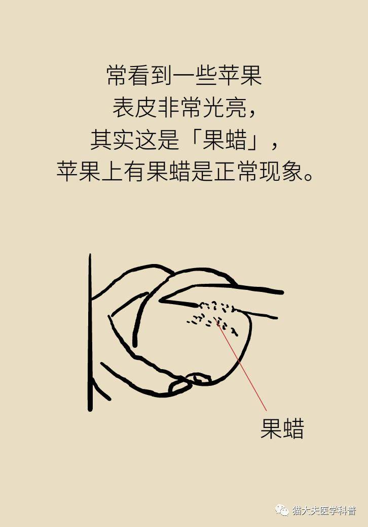 科普|航天员在太空吃这种水果，抗炎又减肥