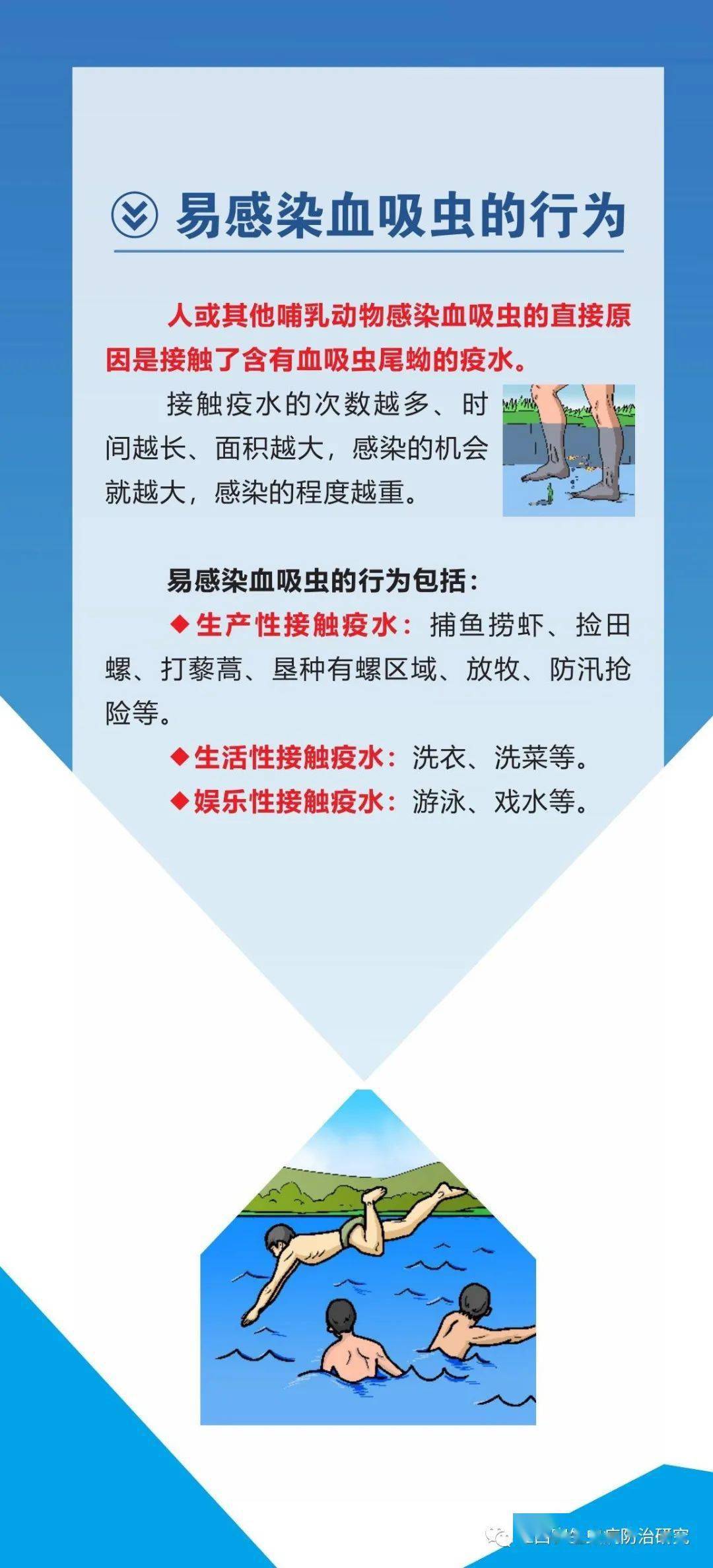 血吸虫病防治知识手册(二)认识血吸虫