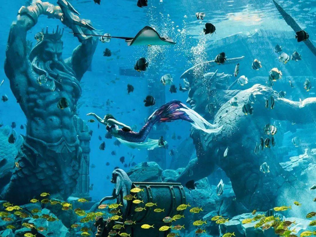 海洋世界门票免费政策 315a24377698473da3985f681be9e362.jpeg