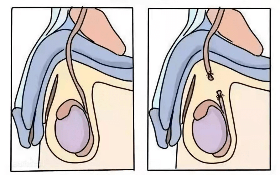 335d51ca0c64433b9593f804a1366088.png