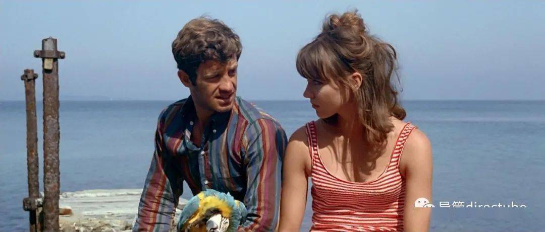 elite|新浪潮,终将离我们远去