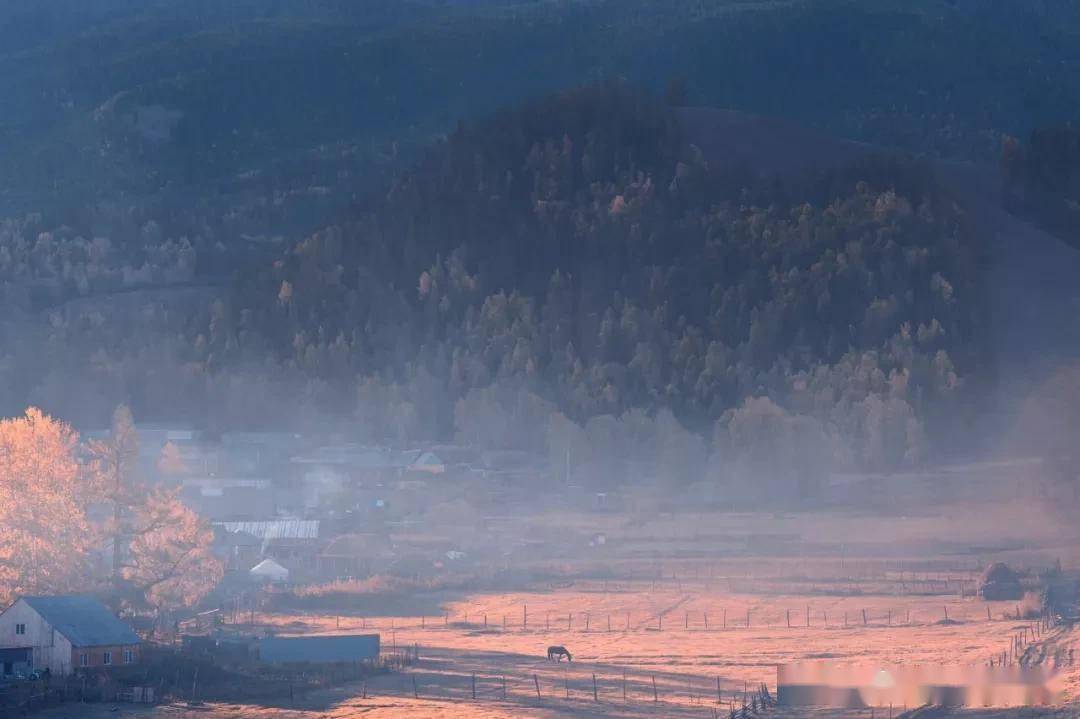 杨柳|诗词｜九首村居诗词，最美不过田园生活