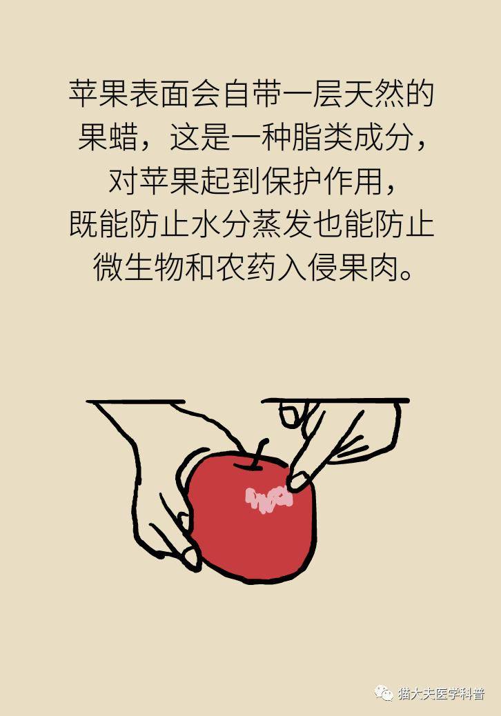 科普|航天员在太空吃这种水果，抗炎又减肥