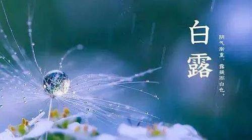 9cbd5086acdf4373bfbc9b500cc696fb.jpeg