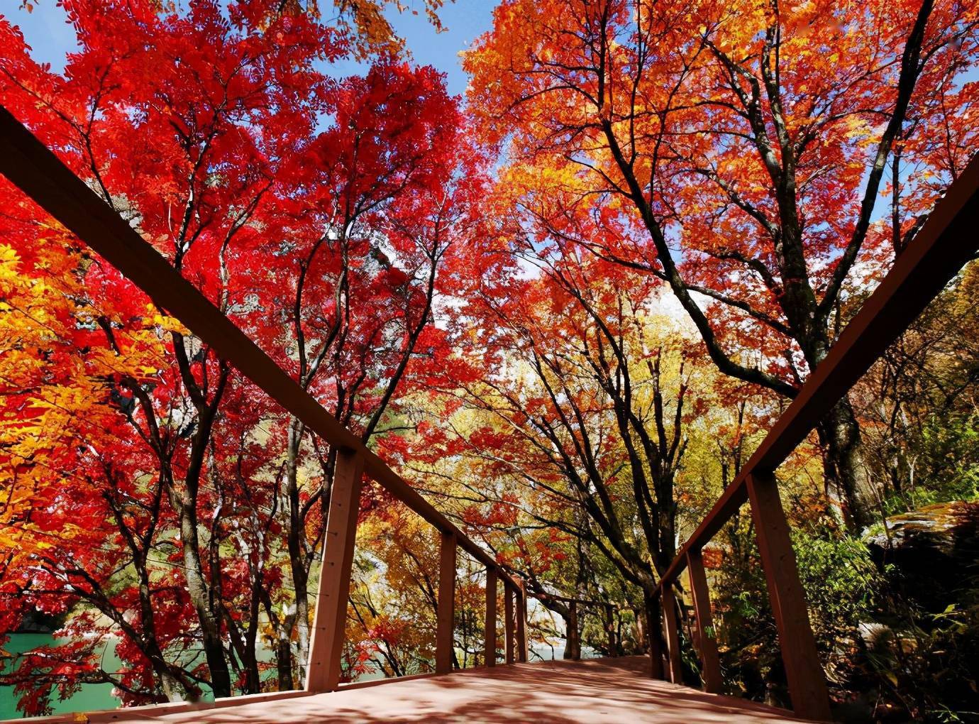 29469bb85616499c9c688f68971b9a88.jpeg