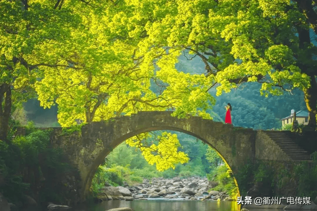 衢州的这些桥,你走过几座?_大桥
