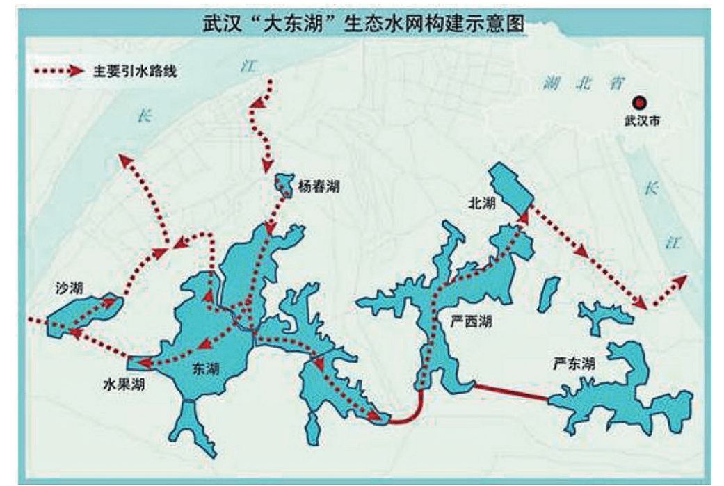 武汉的"顽疾":30年来反复发作,沙湖为何难除"蓝藻病"?