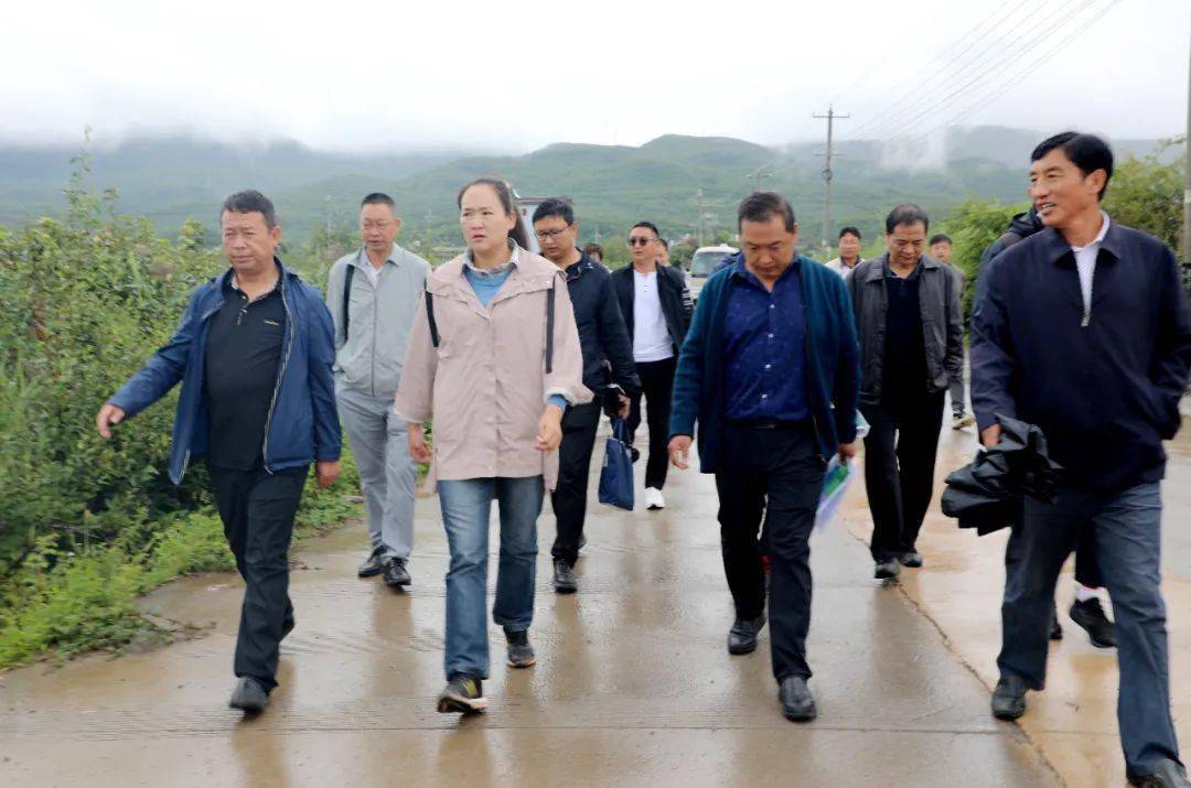【玉龙关注】和秋珍现场调研拉市"田园综合体"项目进展情况
