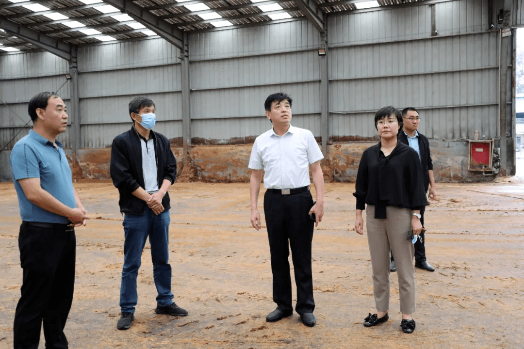 9月6日,副市长,市公安局局长张曰海到孙镇督导环保