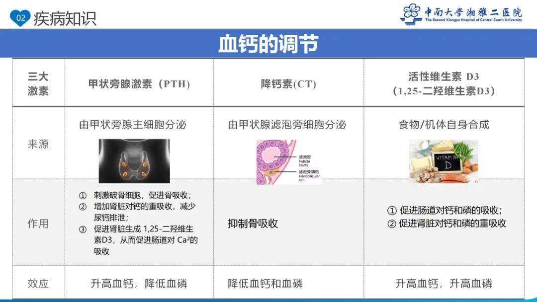 【ppt】一例高钙危象患者的护理查房