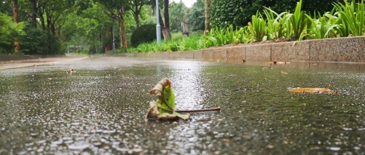 今明两天本区多分散性雷阵雨南转 1921