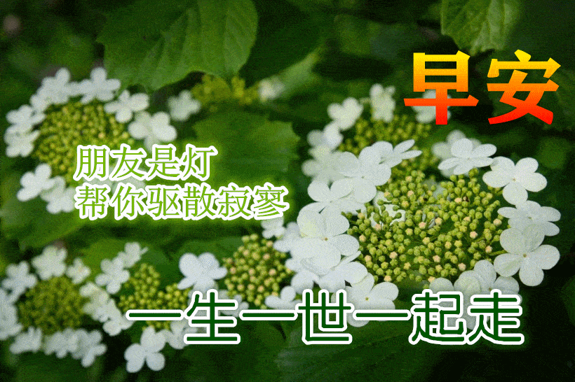 820_546gif 动态图 动图