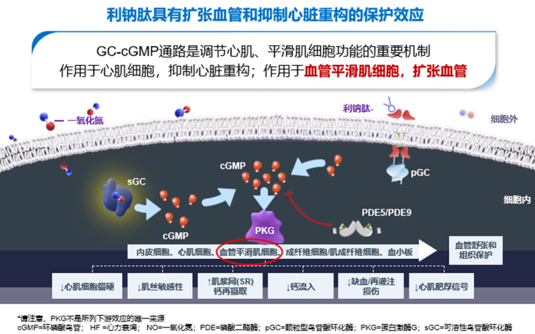 血管紧张素受体脑啡肽酶抑制剂(arni)沙库巴曲缬沙坦优于传统肾素