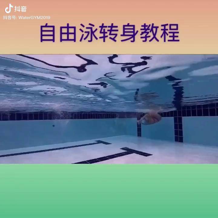 帅气的自由泳转身教程游泳自由泳学自由泳