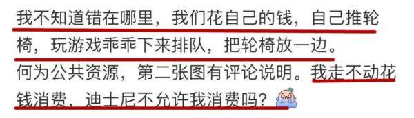 攻略|网友吵翻！手脚正常的年轻人租轮椅玩迪士尼，只因懒得走路？还有人秀恩爱、发攻略…