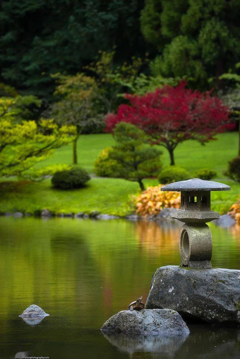 日本园林的代表作图片